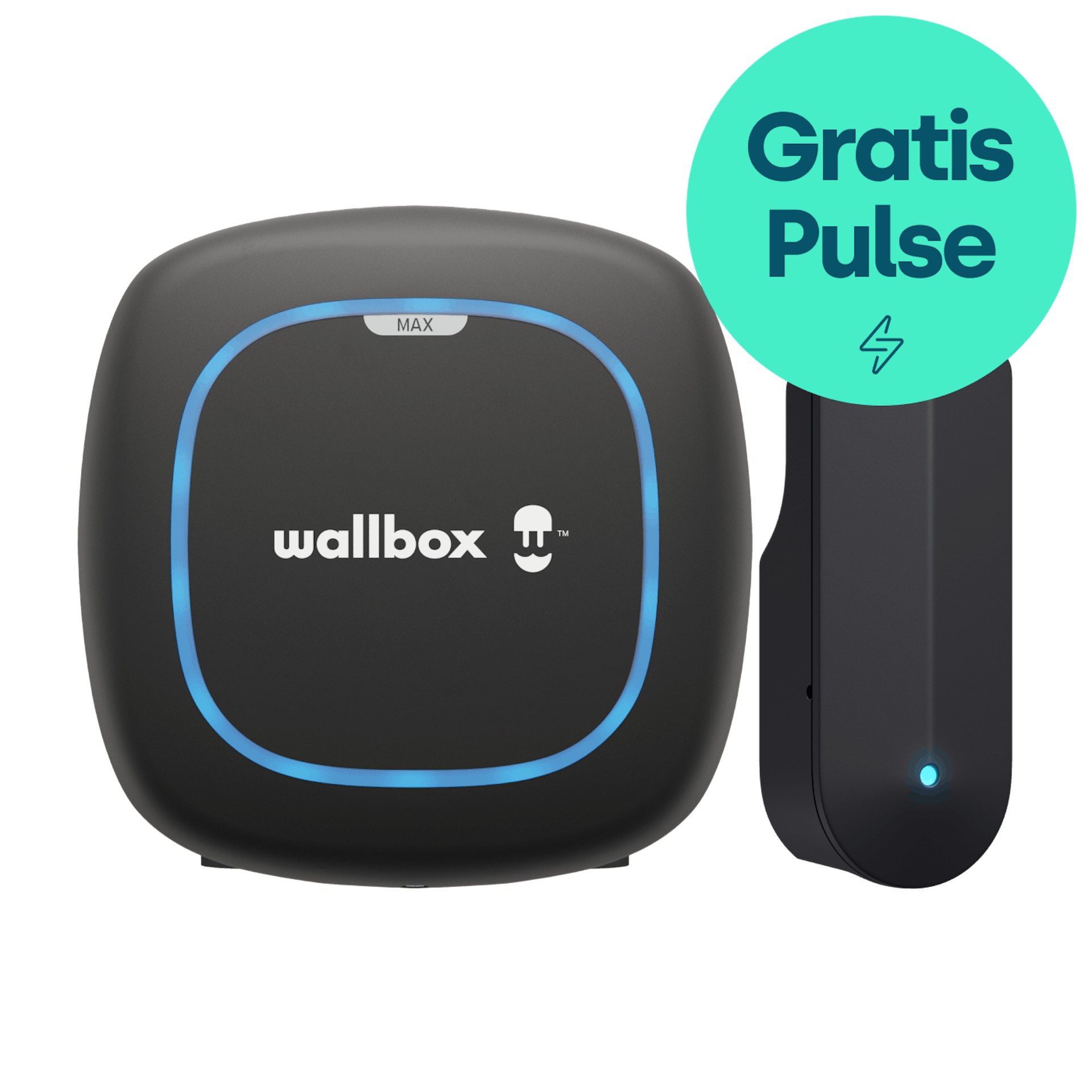 Wallbox Pulsar Max + Pulse
