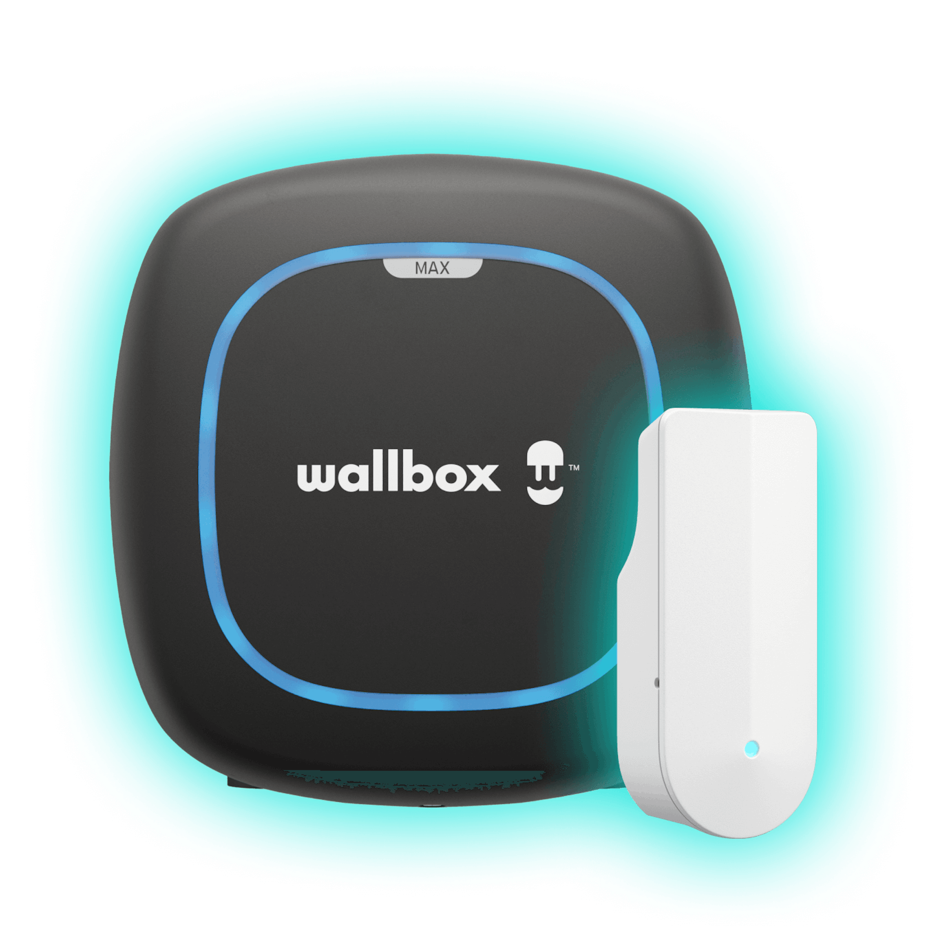 Wallbox Pulsar Max + Tibber Pulse – Grid Rewards startkit