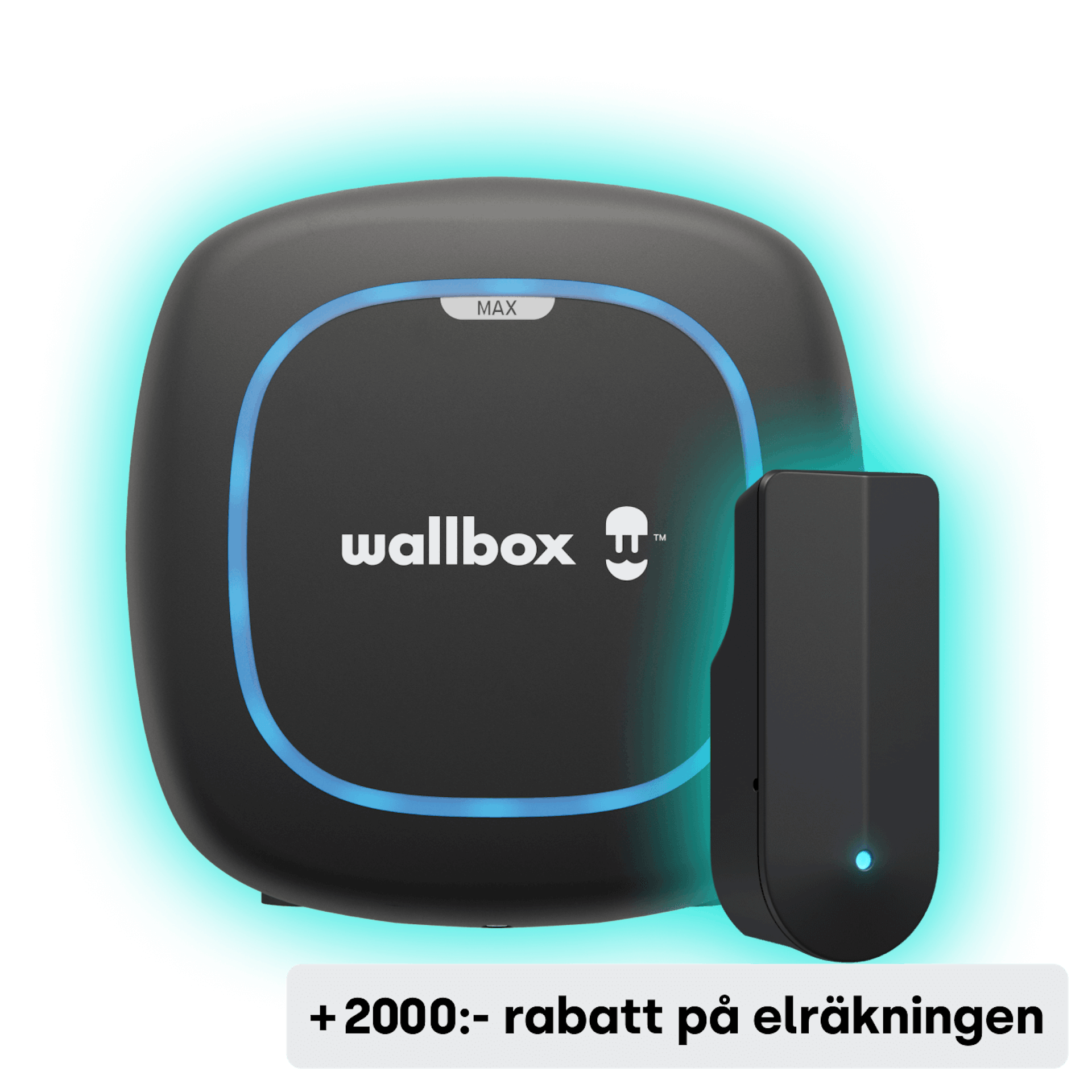 Wallbox Pulsar Max + Tibber Pulse – Grid Rewards startpaket
